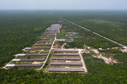 Uma vista aérea de uma fazenda em meio à floresta