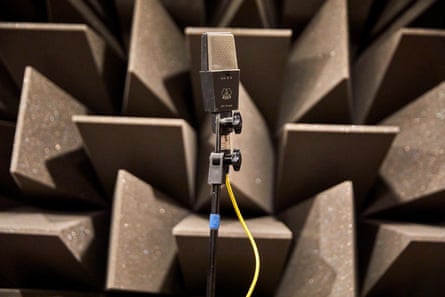 A microphone.