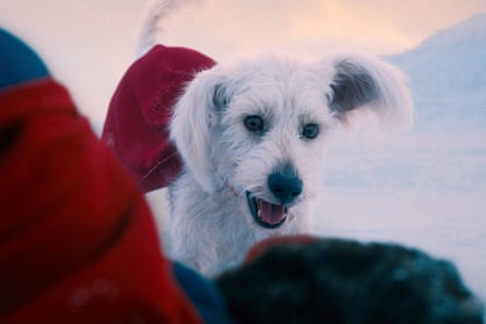 Deserves a spin-off … Krypto the Superdog.