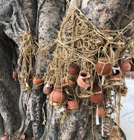 Pots hang from the trunk of a banyan tree by the Ganges in Gahmar to represent the recently dead