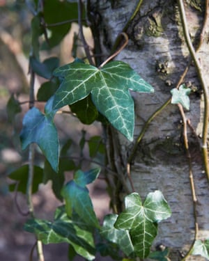 Emma Lampard Department of Education case study details