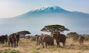 Mount Kilimanjaro - a natural wonder at risk from climate change as its glaciers shrink.