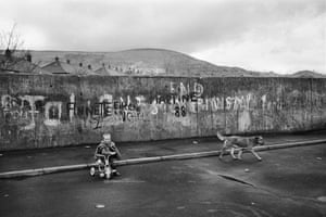 a child on a tricycle, a dog and a graffitied wall