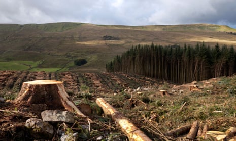 The felling of commercial forests in the North Yorkshire Dales, National Park, UK. Land use change like deforestation was a significant early human contributor to global warming.