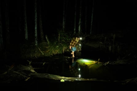 Ecologist and conservationist Ollie Scully searches through creeks for protected spiny crayfish (Euastacus) on 1 June, 2026 in the Bellthorpe region in south-eat Queensland.