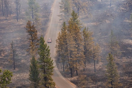 smoke rises above road by trees