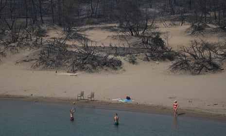 Blackened vegetation on beach and three people in water