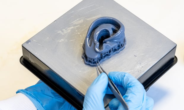 An ear 3D-bioprinted by the Institute of Life Sciences at Swansea University.
