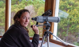 Wildlife biologist Shannon Troy monitoring orange-bellied parrots at Melaleuca, Tasmania.