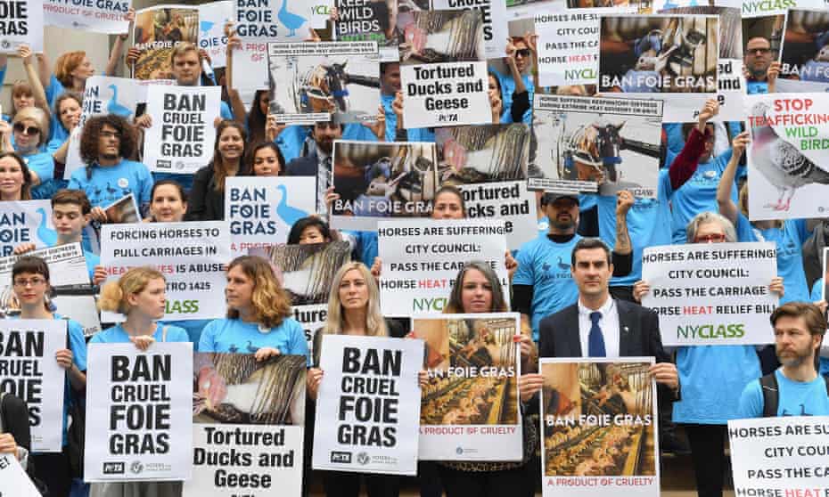 Animal rights activists rally in support of a bill to ban the sale of foie gras in front of city hall in New York, New York, on 18 June. 