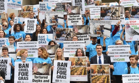 Animal rights activists hold a rally in support of a bill to ban the sale of foie gras on 18 June at New York City Hall in New York.