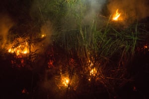 Peat fires can smoulder away below the surface making them exceedingly difficult to extinguish