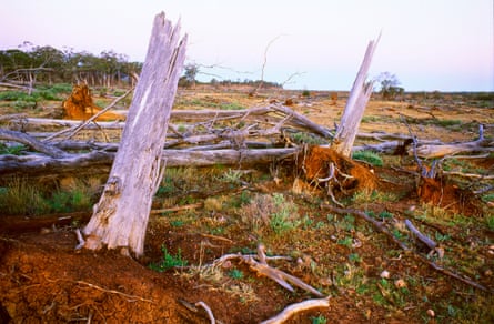 Cleared land and native vegetation in the Brigalow Belt in central Queensland