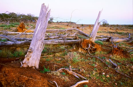 Deforestation of native vegetation by land clearing