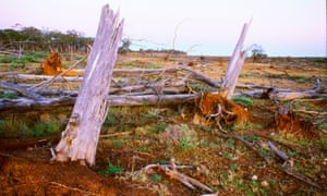 Deforestation of native vegetation by land clearing in central Queensland