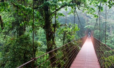 Canopy walkway in Cloudbridge nature reserve, Costa Rica.