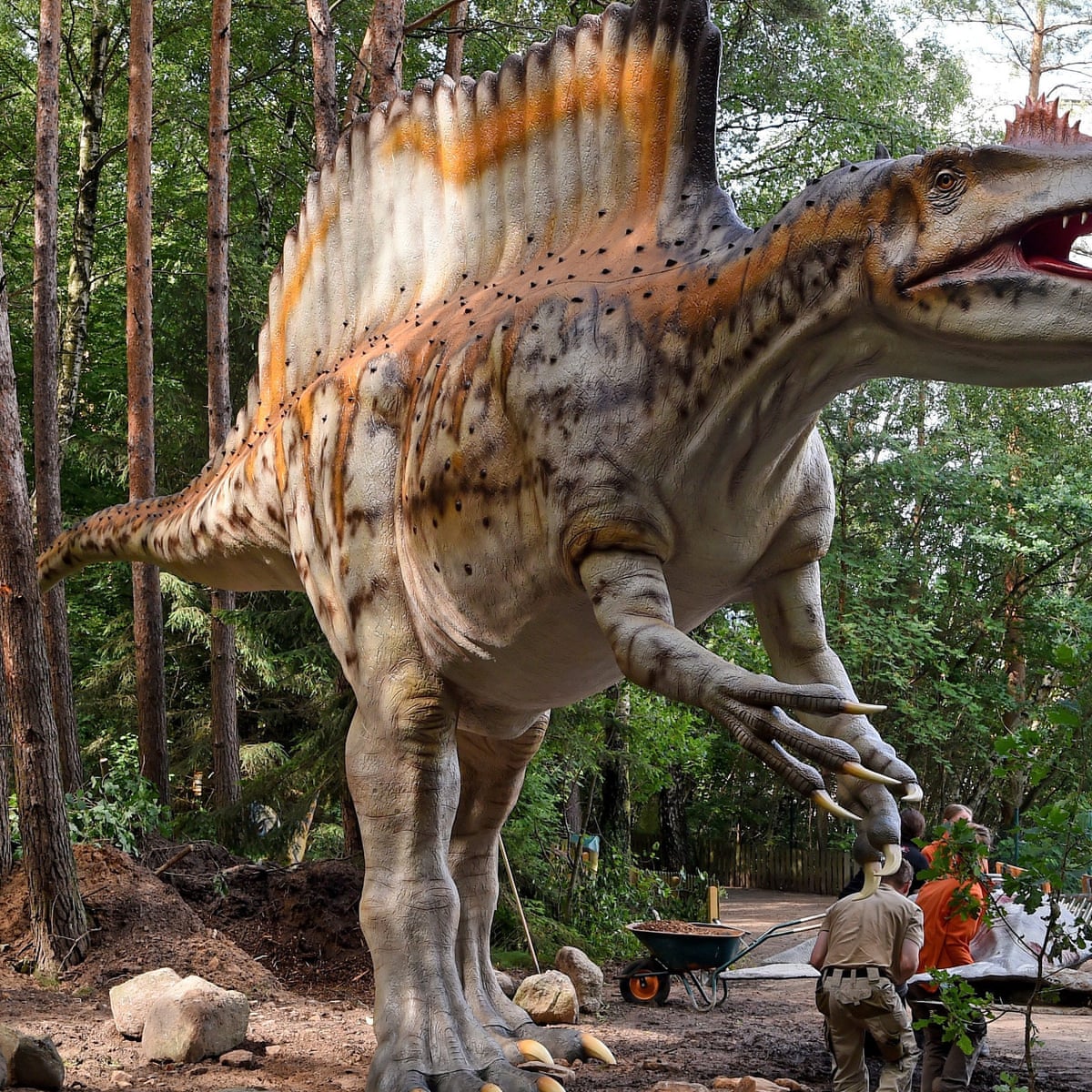 When A Dinosaur Fossil Is Gone It S Gone Forever Dinosaurs The Guardian When A Dinosaur Fossil Is Gone It S Gone Forever Dinosaurs The Guardian