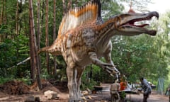 A life reconstruction of the famous Spinosaurus. The original fossils of this animal were destroyed by a bombing raid in 1944.