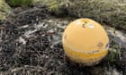 ‘It bust loose and went to Europe’: Florida buoy washes up in Scotland