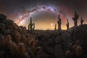 Milky Way above cactus plants