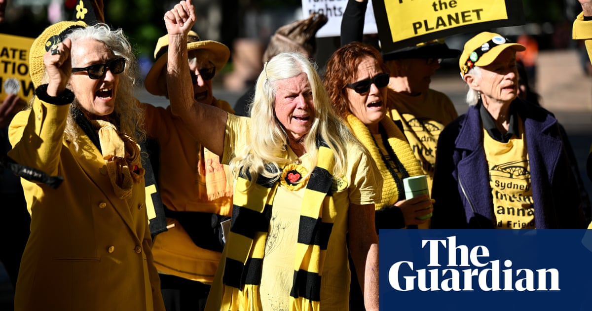 Knitting Nannas claim partial victory in NSW anti-protest law challenge
