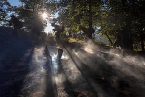 Bombeiros de alto escalão caminham para um local para cortar linhas de incêndio e combater o fogo, pois existe um aviso de calor excessivo