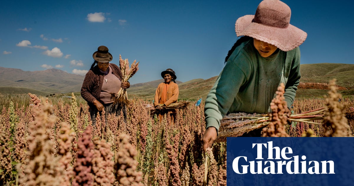The Quinoa Farmers Of Peru In Pictures Guardian Sustainable Business The Guardian