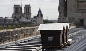 Bees fly next to beehives set up by French beekeeper Audric de Campeau on the roof the Monnaie de Paris on 16 July 2017 in Paris.
