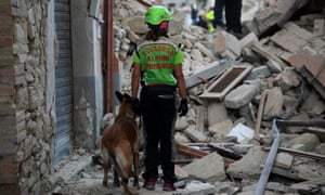 A rescuers with a search dog helps look for victims