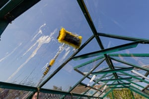 Cleaning a greenhouse