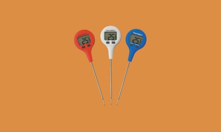 ThermaStick meat thermometer