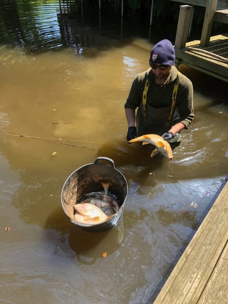 A man stands in brown water with a dead fish in his hand
