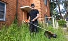 ‘I’m just a lawnmower man, I’m no one special’: Nathan Stafford, the Sydney gardener with a following of millions