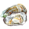 Arcachon oysters
