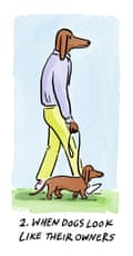 Cartoon sausage dog man walking a sausage dog. Caption: “When dogs look like their oweners”