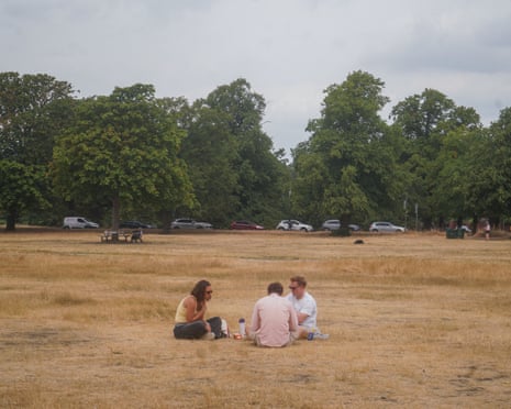 Three young people sit on dry yellow grass in the park.