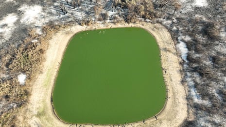 Drone footage shows the devastated wetlands in the Brazilian Pantanal â video