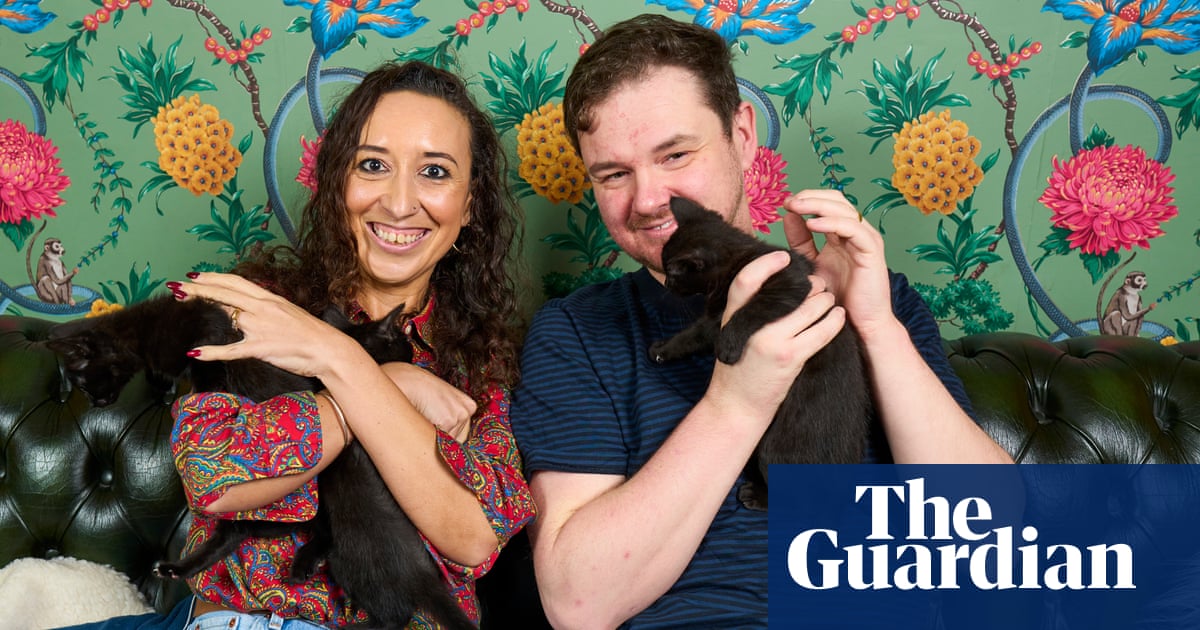 With numbers of abandoned cats soaring, we somehow found ourselves with 11