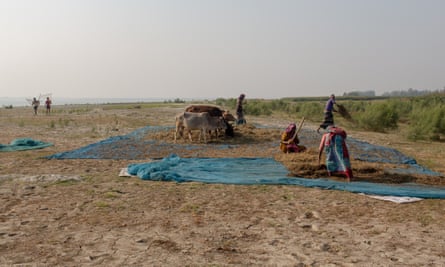 Women working in fields in Kurigram district, a remote part of northern Bangladesh.
