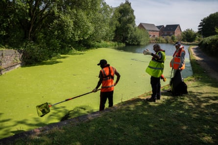 Participants trawl the canal for rubbish and thick, green duckweed