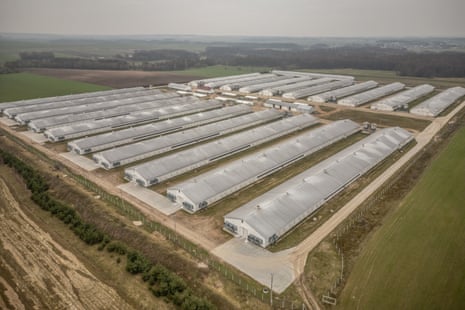 Una granja industrial de pollos a gran escala que está afectando a las personas que viven cerca. Marzo de 2024, distrito de Żuromin, Polonia. Żuromin es una zona de agricultura intensiva, con una densidad muy alta de granjas intensivas de producción a gran escala. Algunas áreas se conocen como "ciudades de pollos", ya que algunas granjas tienen hasta 16 gallineros cada una.