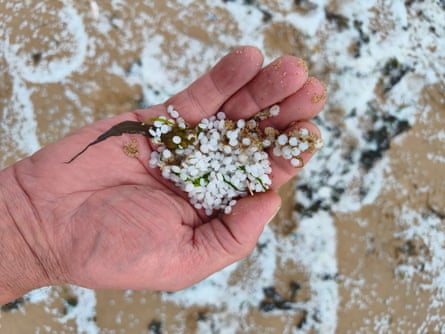 A closeup of the nurdles on the beach