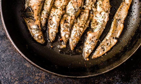 Sprats in a frying pan