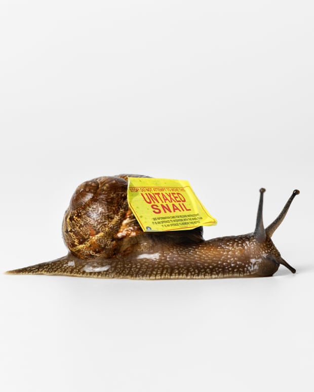 The snail farm don: is this the most brazen tax avoidance scheme of all time?