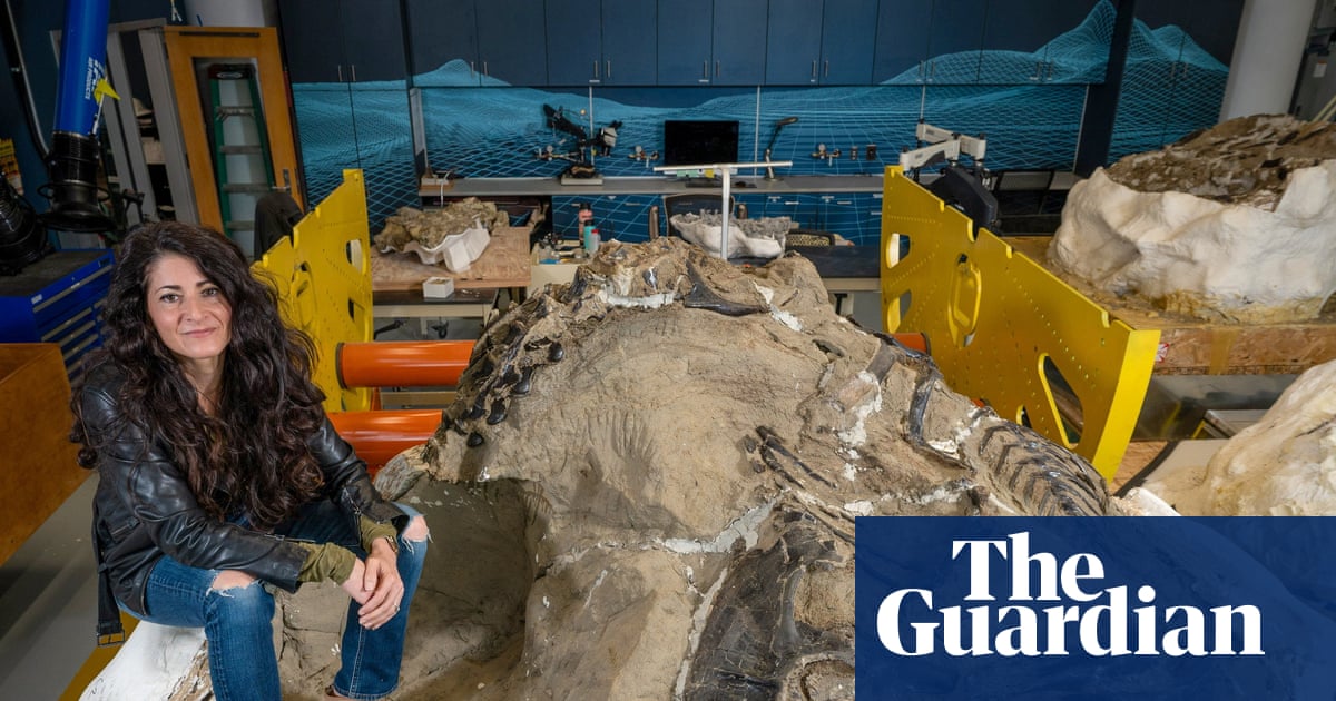 Researchers discover new tyrannosaur species in ‘duelling dinosaurs’ fossil