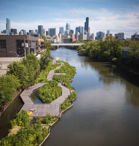 Artificial floating wetlands in the Chicago river, in the middle of the city.