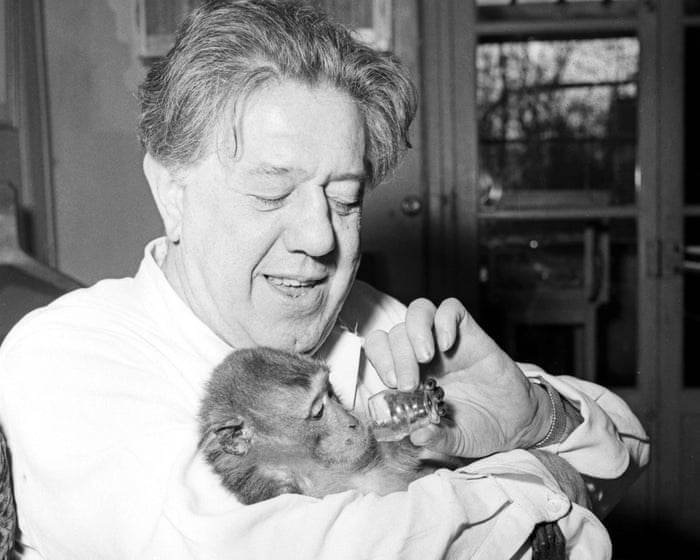 Monkey soulmates and extraordinary talent: the man Charlie Chaplin called ‘the greatest actor in the world’