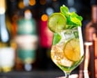 Quench your thirst! 20 perfect spritzes and shandies to try now – from kumquat to portergaff