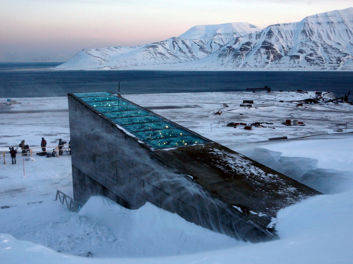 Arctic Stronghold Of World S Seeds Flooded After Permafrost Melts Climate Crisis The Guardian Arctic Stronghold Of World S Seeds Flooded After Permafrost Melts Climate Crisis The Guardian