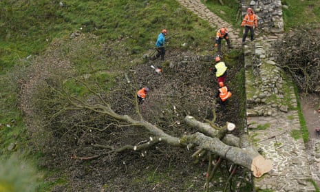 Workers removing the Sycamore Gap tree by Hadrian's Wall in October 2023.